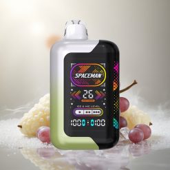 SMOK SPACEMAN SP40000 Wegwerp Vape Witte Druif IJs met 40000 Puffs en 20ml Vloeistof